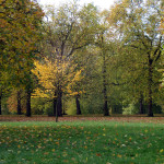 Green Park