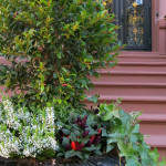 Floral decoration on Commonwealth Avenue, Back Bay Boston