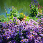 Charles River Esplanade