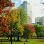 Boston Common