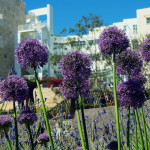 Getty Center central garden