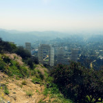 On top of the Hollywood Sign