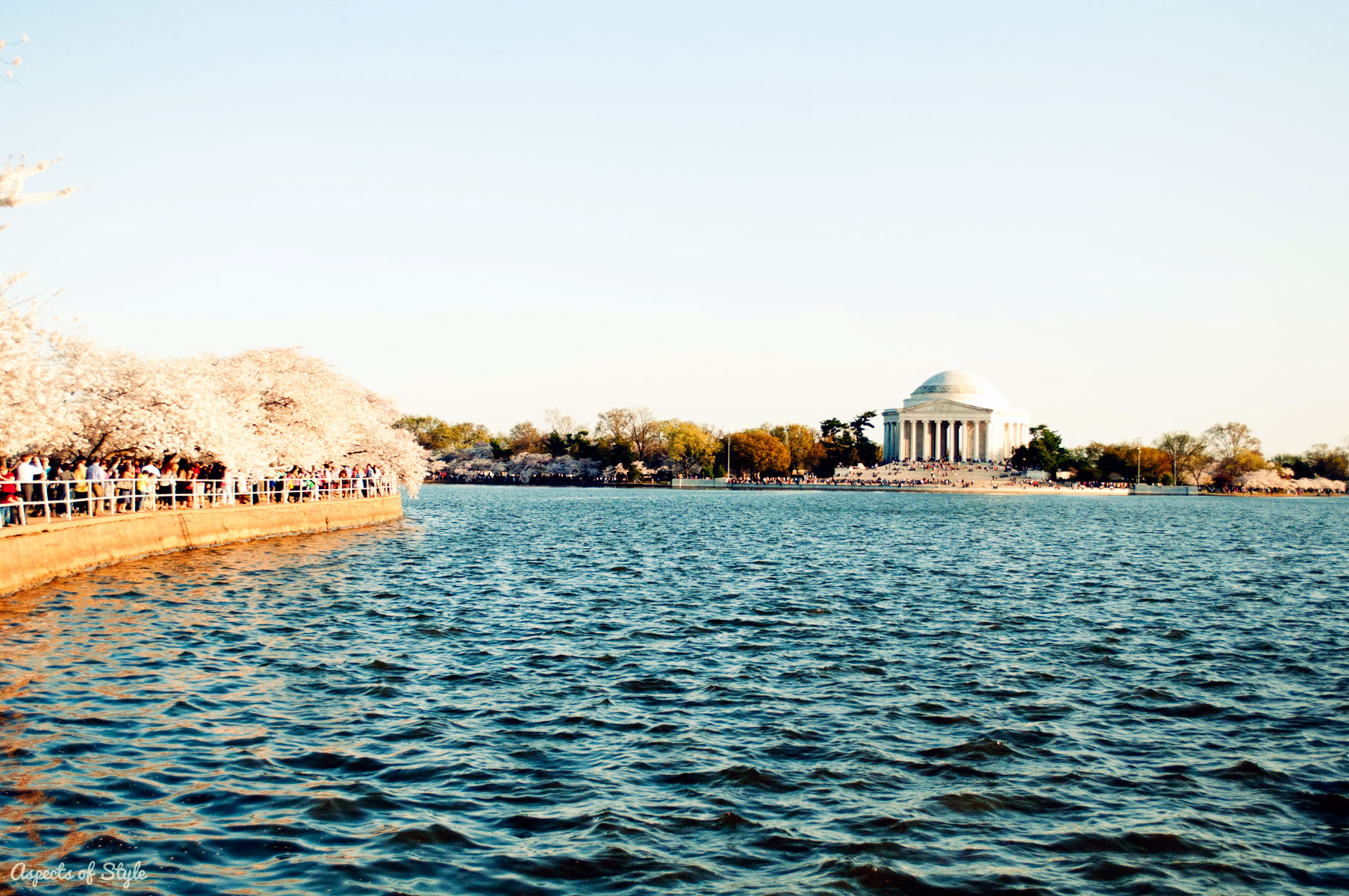 Jefferson Memorial, Tidal Basin and Cherry Blossoms in Washington, DC