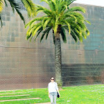 deYoung museum San Francisco