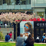 Union Square, San Francisco