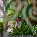 banana tree flowers in Nafplio