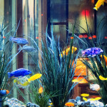 Legal Seafoods Boston