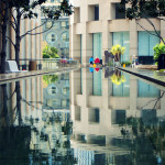 reflections in Downtown LA