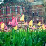 Providence Rhode Island