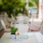 Family all day cafe, Voula