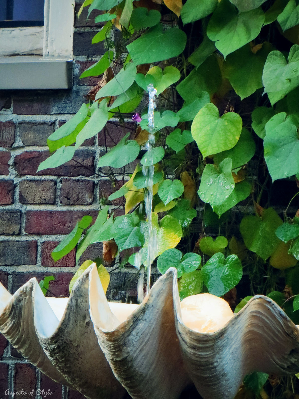 Commonwealth Avenue Boston