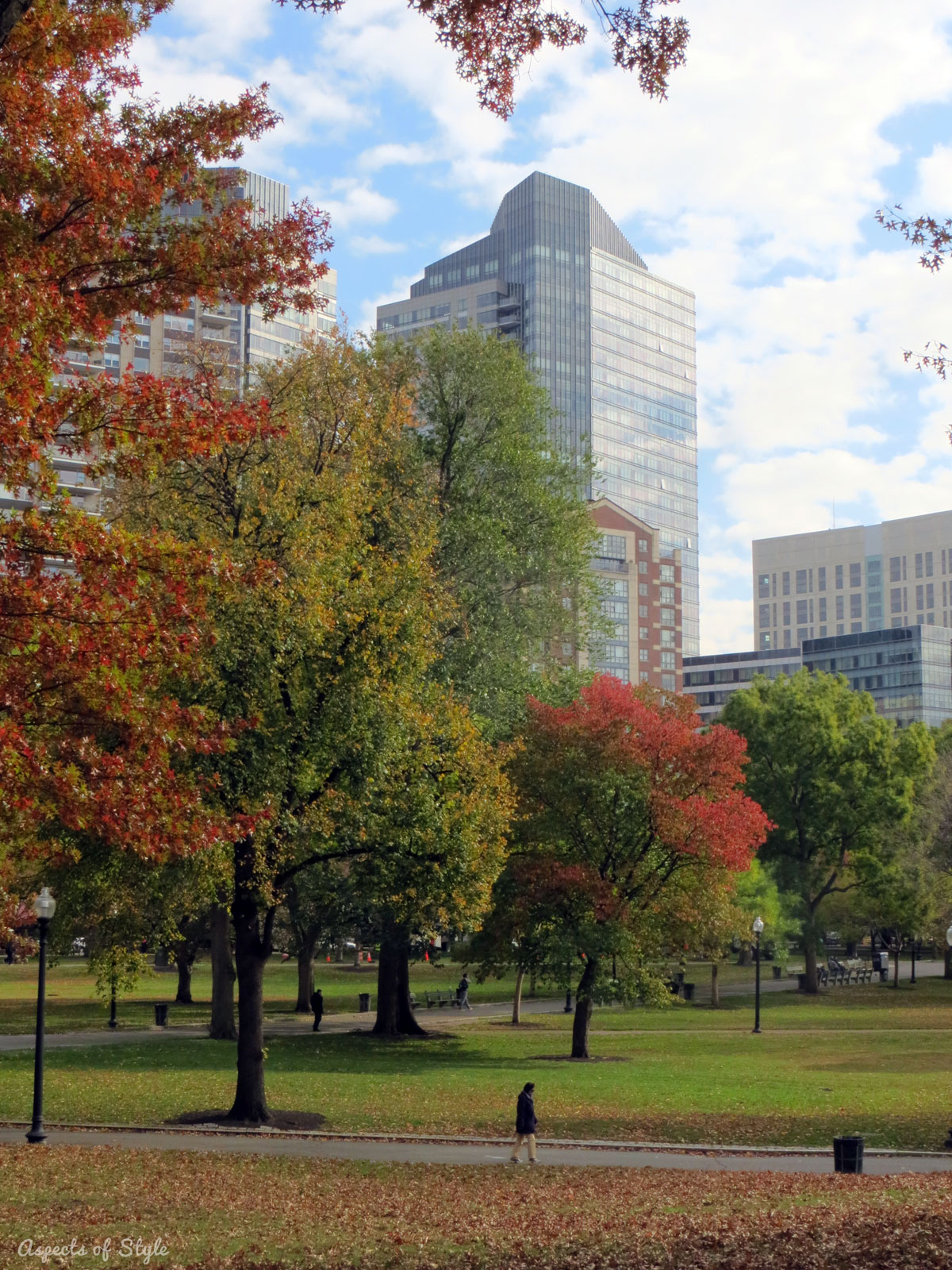 Boston Common
