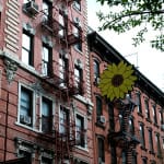 Little Italy, New York City