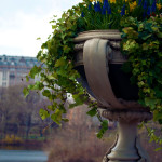 Central Park, New York City