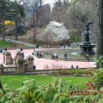 Central Park, New York City