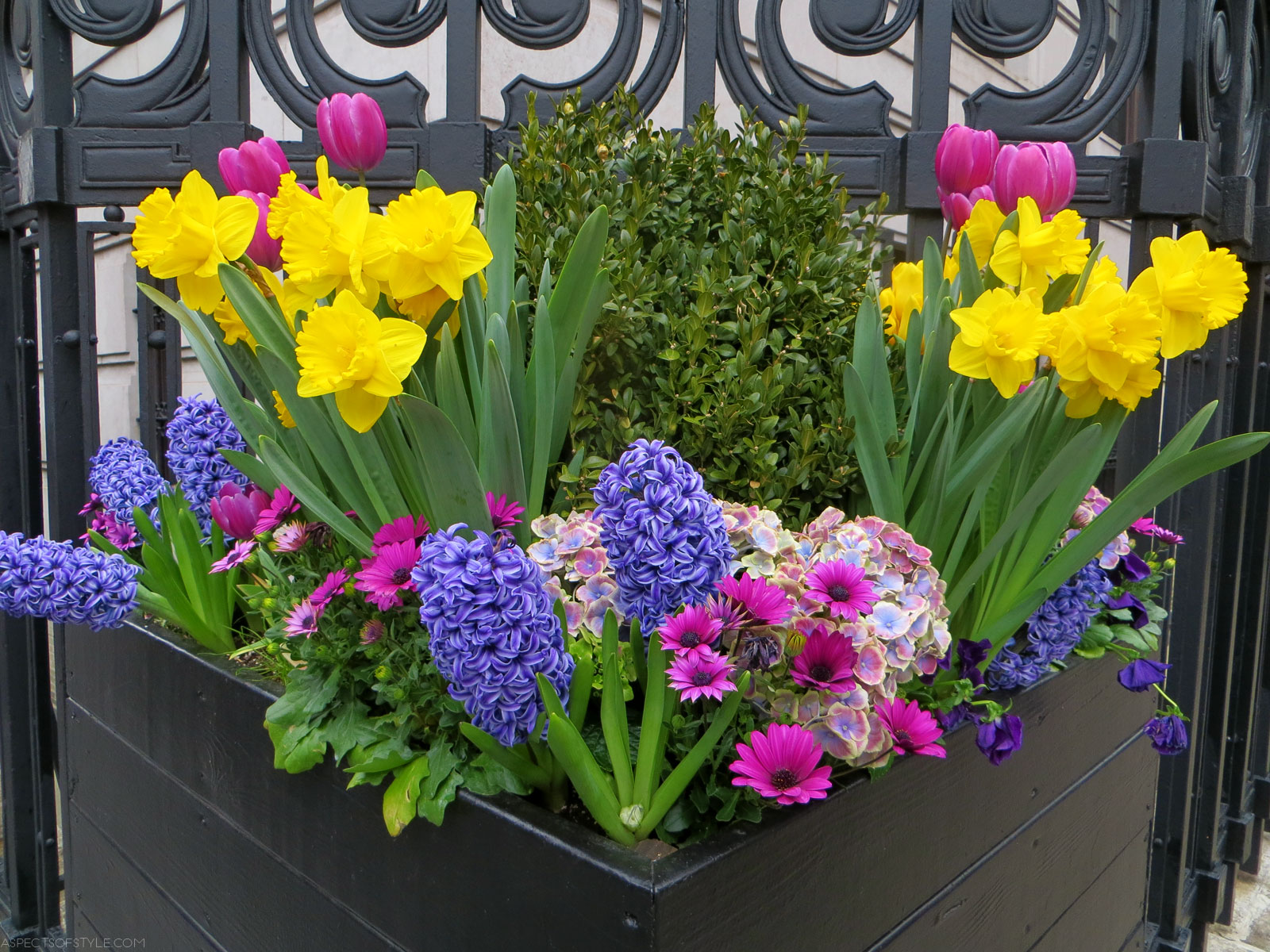 flowers in Upper West Side, New York City