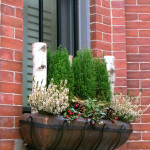 Christmas decorations in South End, Boston