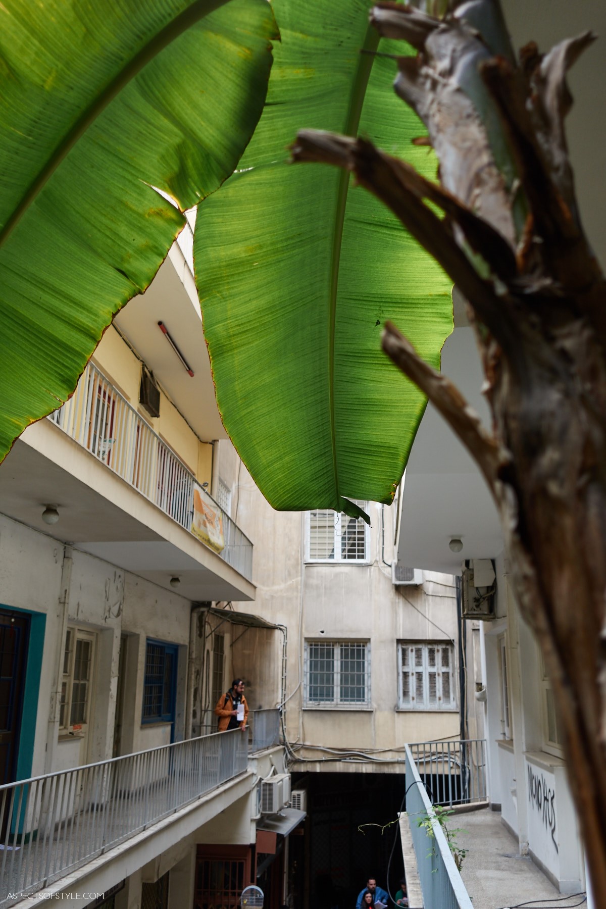 Anatoli arcade rooftop off Klathmonos square