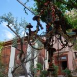 Avli restaurant, Rethymno, Crete, Greece