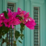 Koroni, Peloponnese, Greece