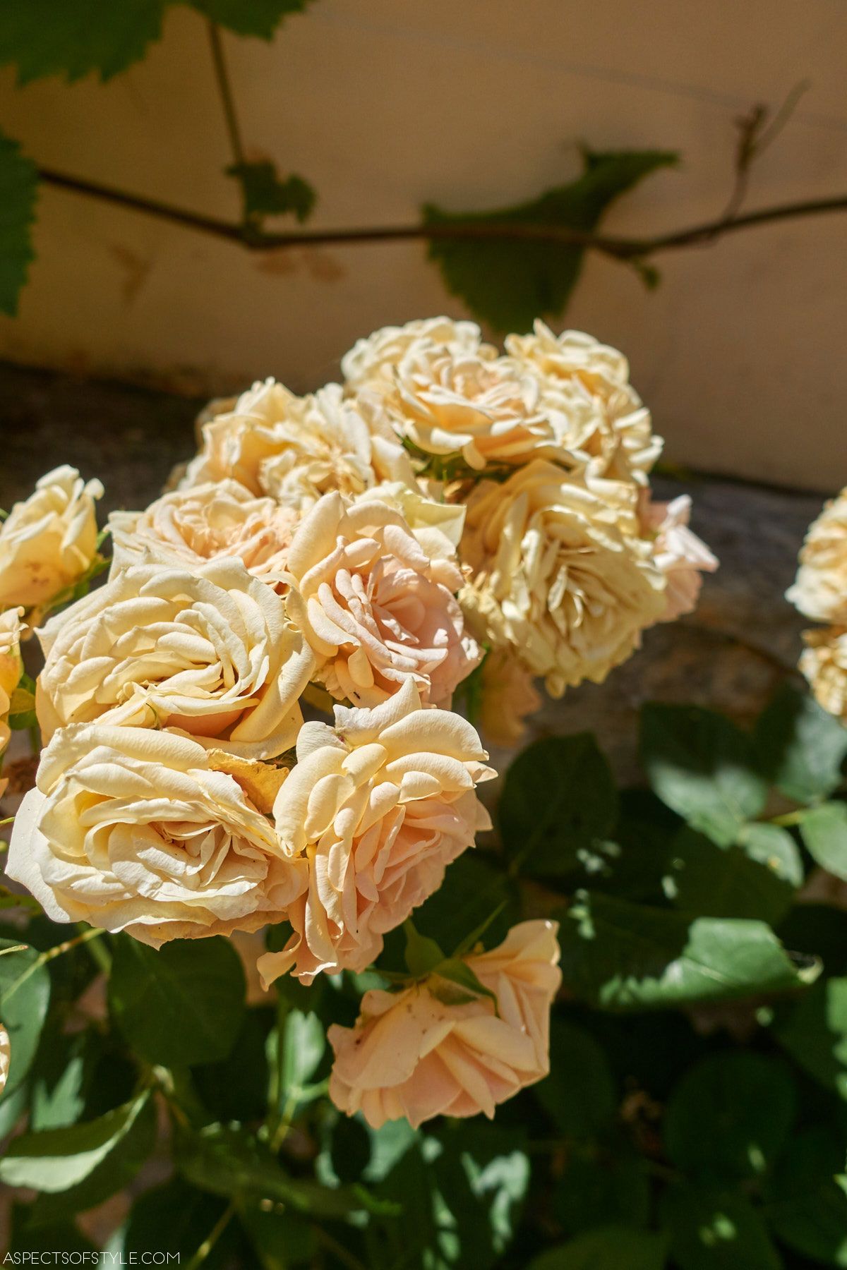 St Anne church yard in Plaka