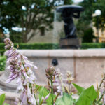 Tower's Square, Tallinn, Estonia