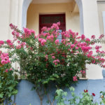 Kalamata, Peloponnese, Greece