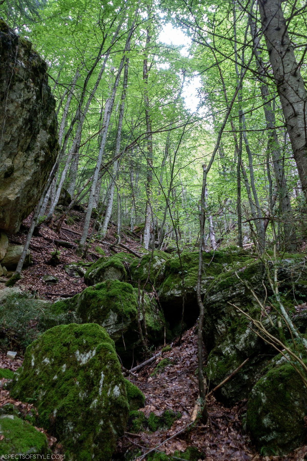 Olympus Mountain, Greece