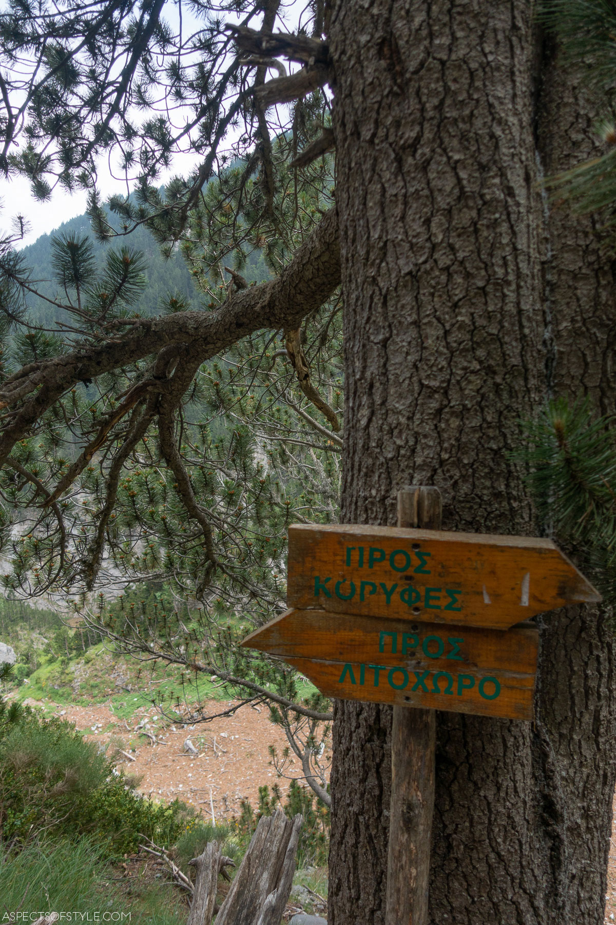 signs at Olympus Mountain, Greece
