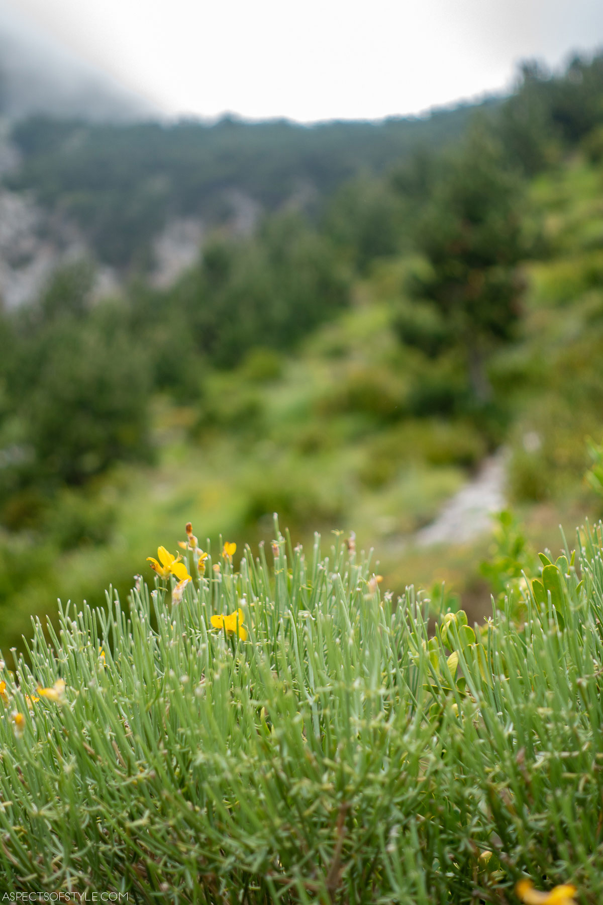 Olympus Mountain, Greece