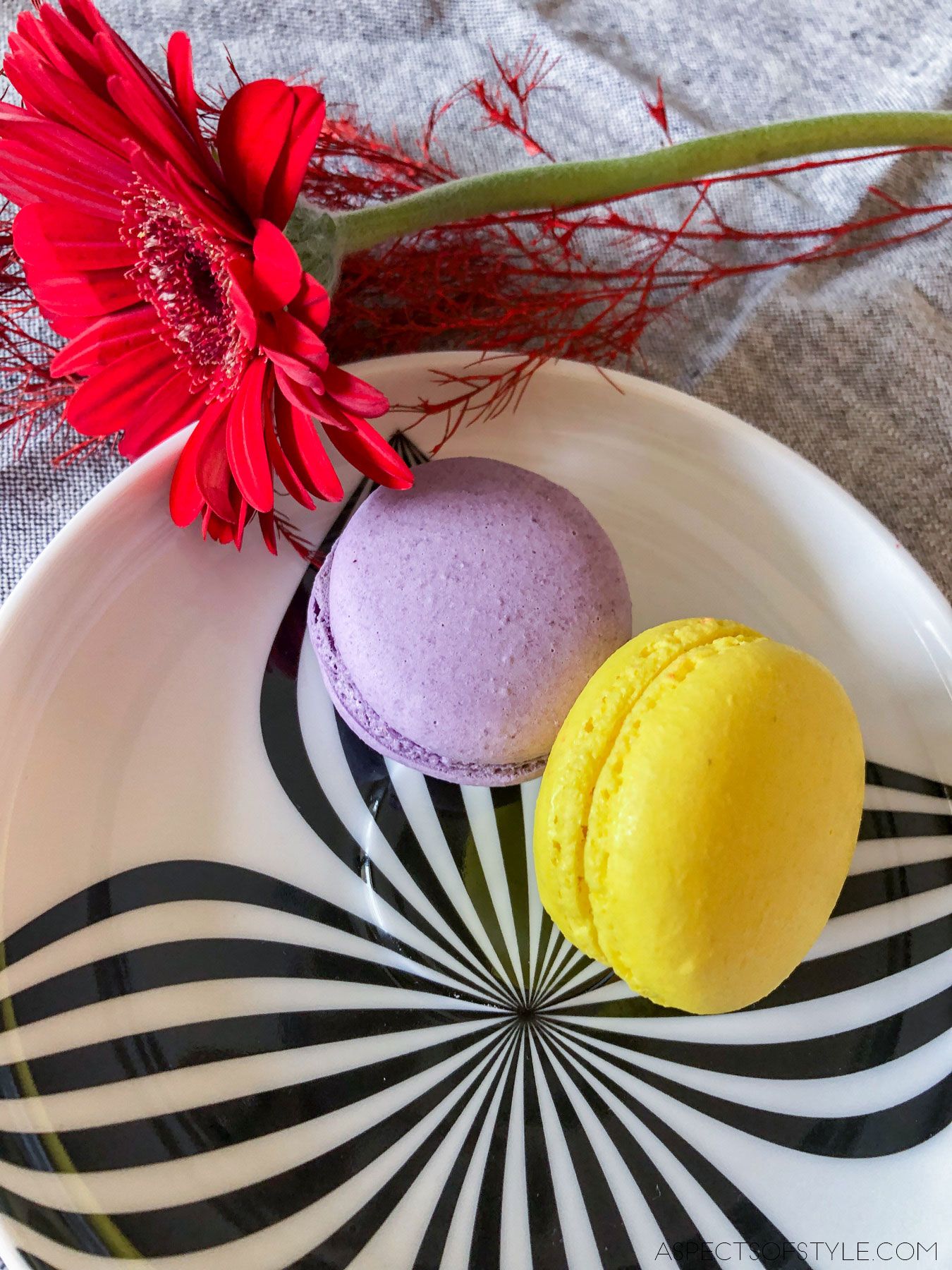 Georgios Galifianakis macarons