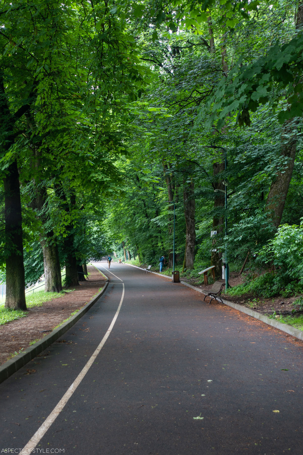 pedestrian road in Brasov Romania