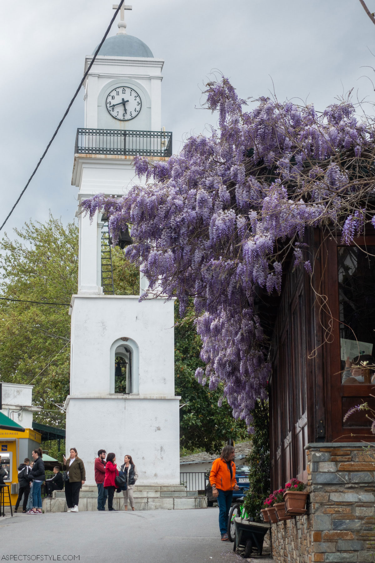 Wisteria in Milies Pelion