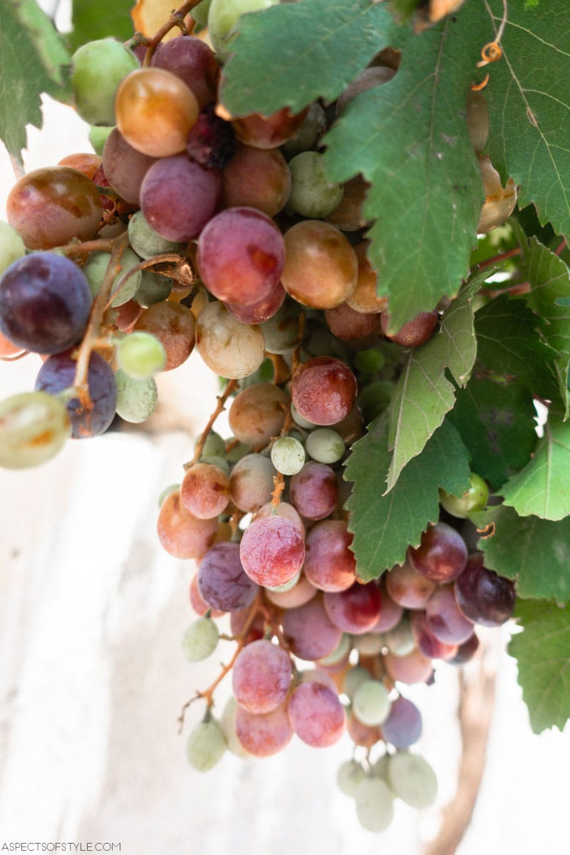 Fourni, Lasithi, Crete