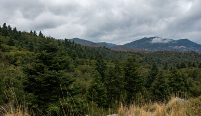 View of the mountain and fir trees in Mountainous Arcadia, Peloponnese