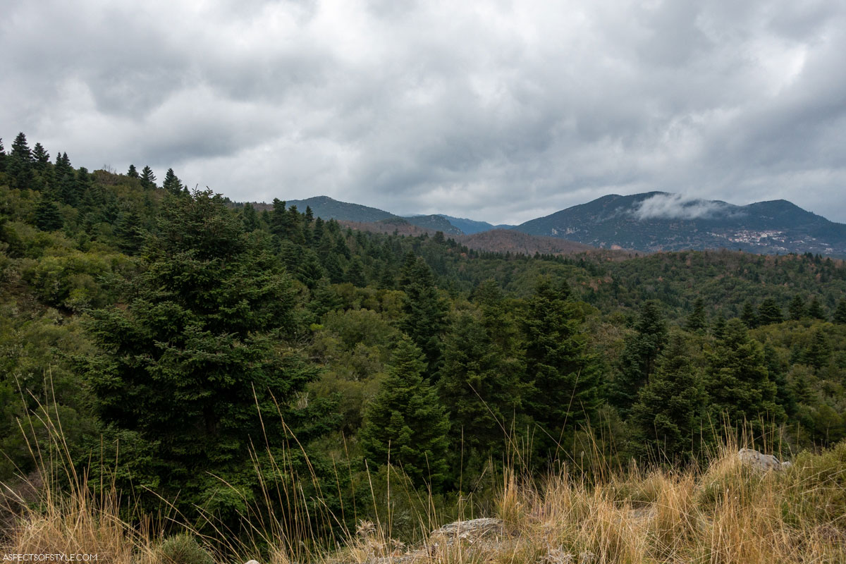 View of the mountain and fir trees in Mountainous Arcadia, Peloponnese