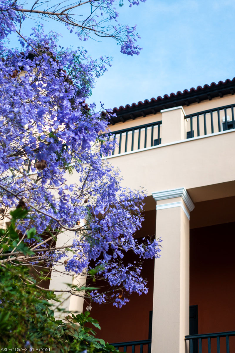 First building of the University, Kleanthis House