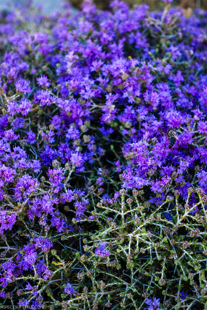 Sitia Geopark, Lasithi, Crete