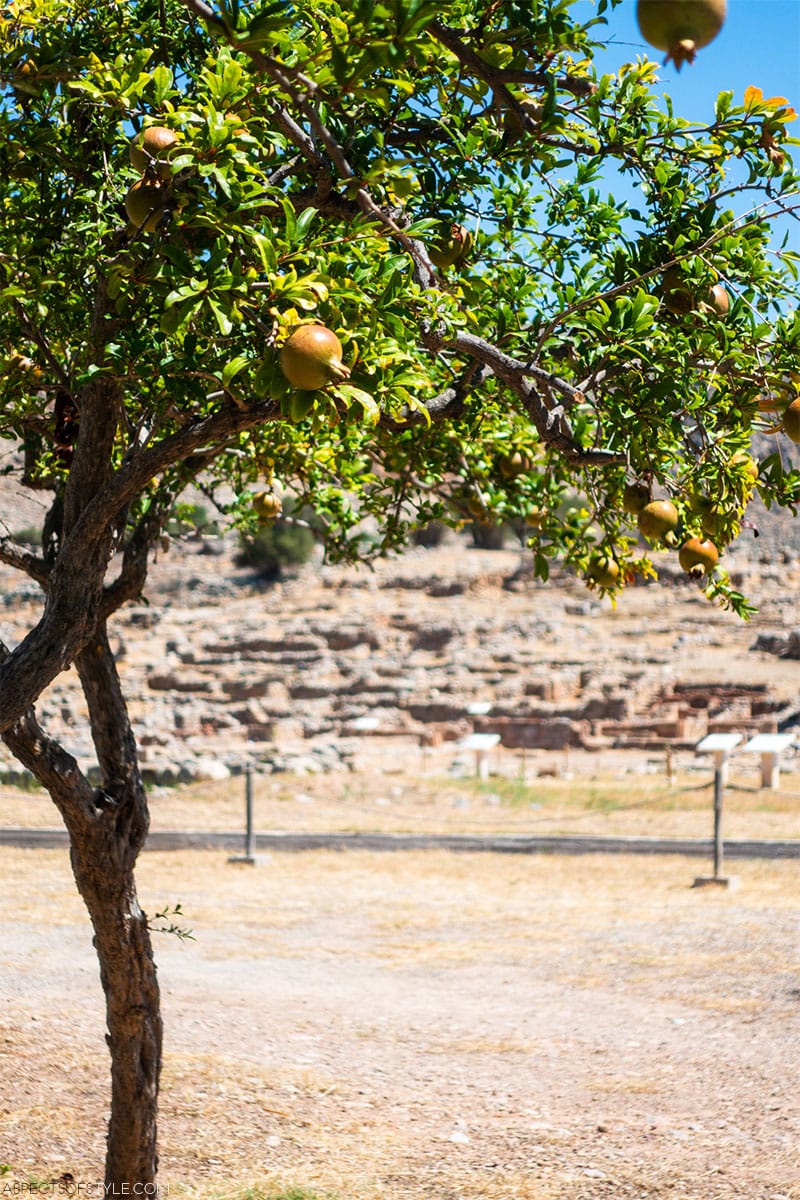 Minoan Palace of Zakros, Lasithi, Crete